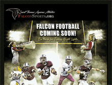 Tablet Screenshot of falconsports.org